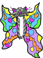 ToonaCat as butterfly