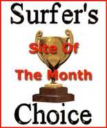 Surfer's Choice award